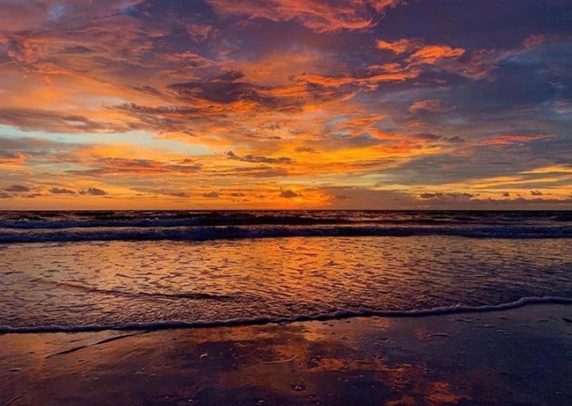 Private Room In A 2 Bedroom 1 Bathroom Shared With Host, On The Beach, Surrounded By Resorts, Only 2 People Max St. Pete Beach Bagian luar foto